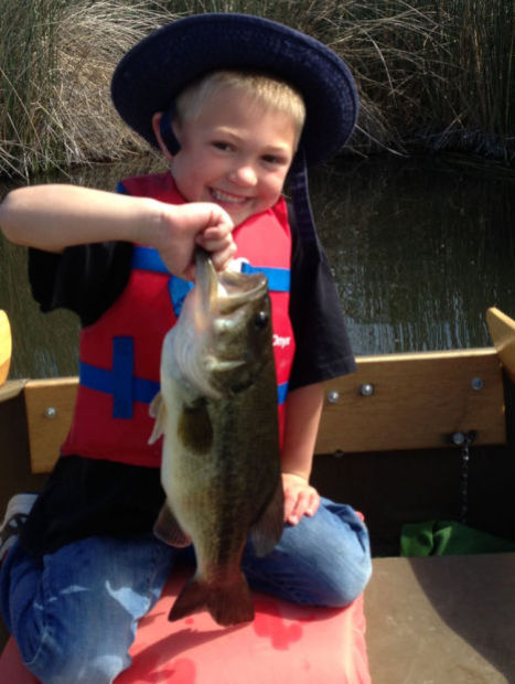 Fish Photo